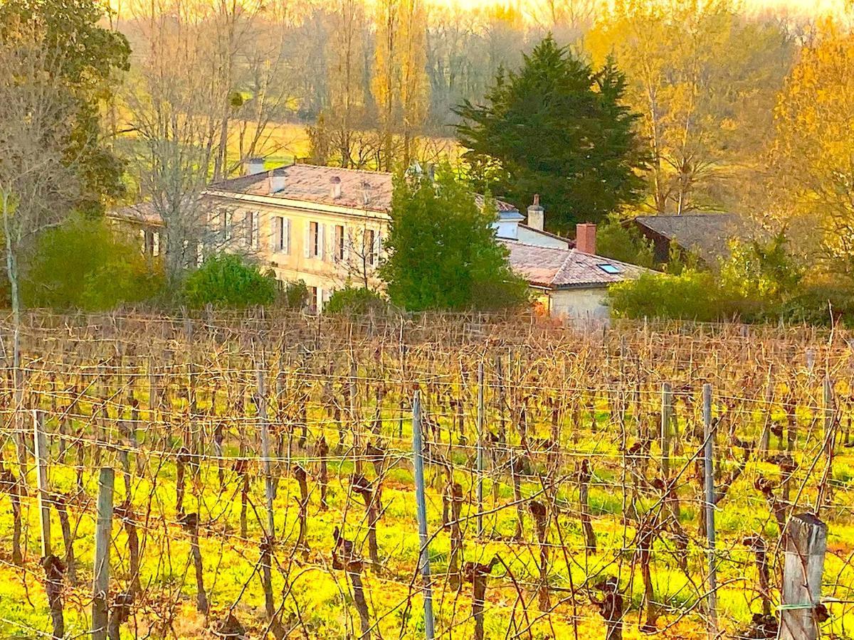 Fabuleux - Domaine Du Moulin D'Andraut Bordeaux-Chevaux-Golf-St Emilion Montussan Exterior foto